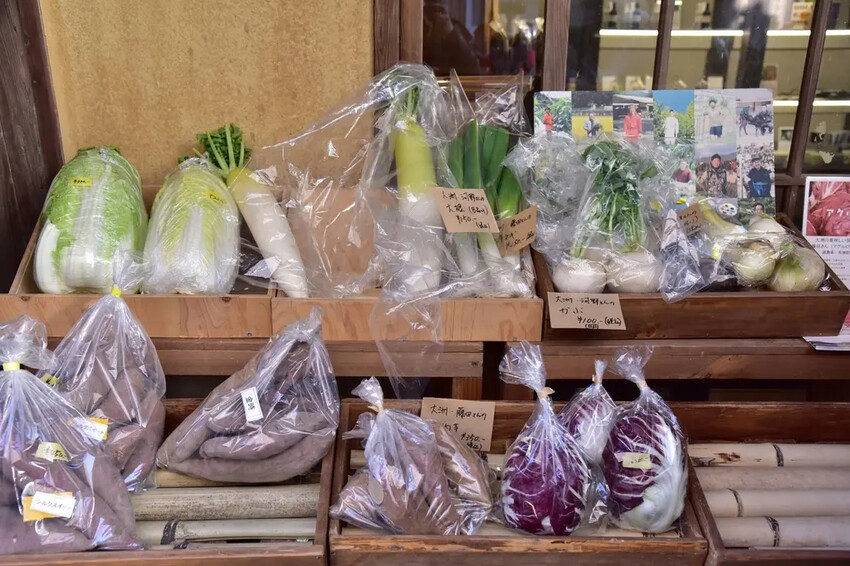 雄獅旅遊｜日本四國雙鐵道六天五夜行程推薦 伊予灘夕陽列車&千