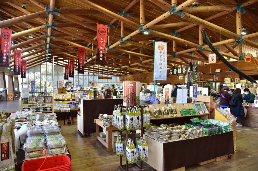 德島三好市|祖谷葛藤橋 隱藏於山谷之間的神秘境地 橫跨祖谷川發現德島祖谷的原始樣貌|西莉亞玩樂人生 雄獅旅遊|祖谷秘境葛藤橋