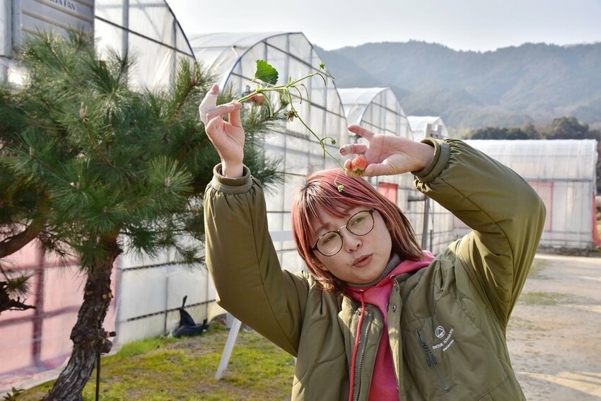 雄獅旅遊｜日本四國雙鐵道六天五夜行程推薦 伊予灘夕陽列車&千