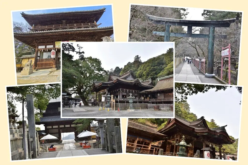 雄獅旅遊｜日本四國雙鐵道六天五夜行程推薦 伊予灘夕陽列車&千