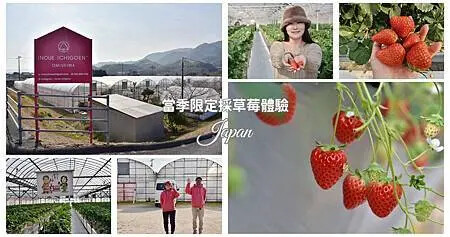 雄獅旅遊｜日本四國雙鐵道六天五夜行程推薦 伊予灘夕陽列車&千