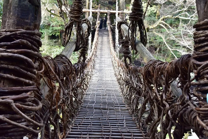 德島三好市|祖谷葛藤橋 隱藏於山谷之間的神秘境地 橫跨祖谷川發現德島祖谷的原始樣貌|西莉亞玩樂人生 雄獅旅遊|祖谷秘境葛藤橋