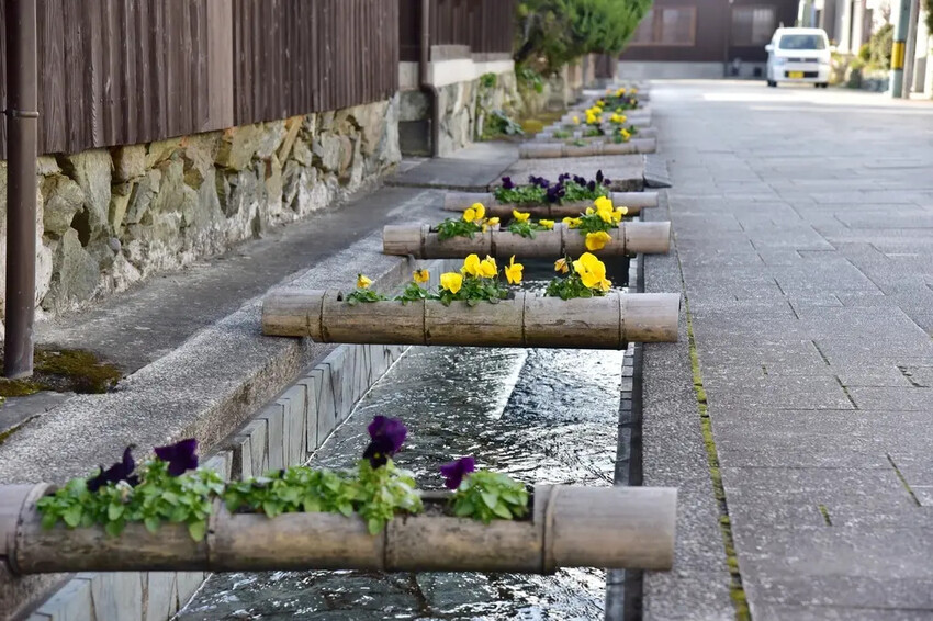 雄獅旅遊｜日本四國雙鐵道六天五夜行程推薦 伊予灘夕陽列車&千