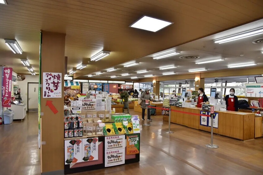 雄獅旅遊｜日本四國雙鐵道六天五夜行程推薦 伊予灘夕陽列車&千