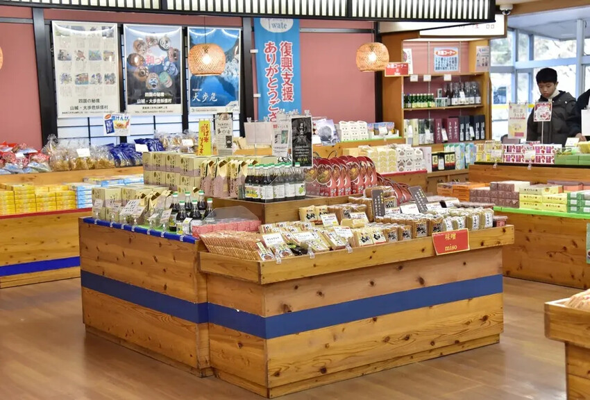 四國德島三好市|大步危峽遊覽船 近距離欣賞兩億年沖刷吉野川峽谷 鬼斧神工奇岩巨石壯觀畫面|西莉亞玩樂人生 雄獅旅遊|大步危遊船