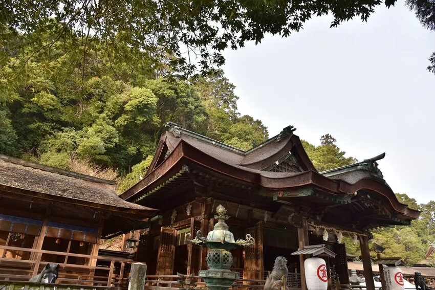 雄獅旅遊｜日本四國雙鐵道六天五夜行程推薦 伊予灘夕陽列車&千