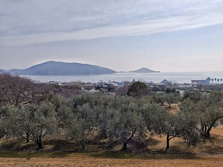 雄獅旅遊｜日本四國雙鐵道六天五夜行程推薦 伊予灘夕陽列車&千
