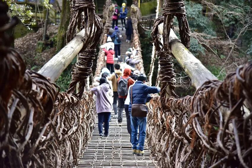 德島三好市|祖谷葛藤橋 隱藏於山谷之間的神秘境地 橫跨祖谷川發現德島祖谷的原始樣貌|西莉亞玩樂人生 雄獅旅遊|日本四國雙鐵道六天五夜行程推薦 伊予灘夕陽列車&千