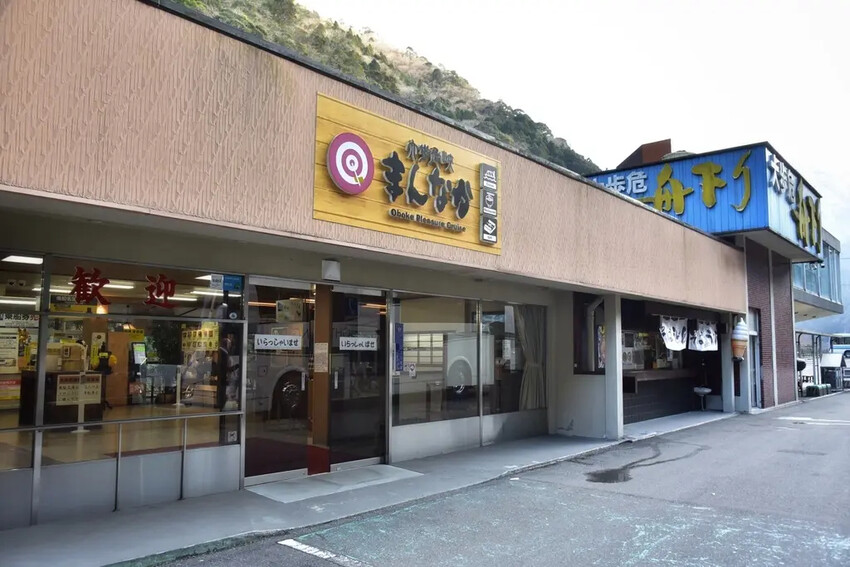 四國德島三好市|大步危峽遊覽船 近距離欣賞兩億年沖刷吉野川峽谷 鬼斧神工奇岩巨石壯觀畫面|西莉亞玩樂人生 雄獅旅遊|日本四國雙鐵道六天五夜行程推薦 伊予灘夕陽列車&千