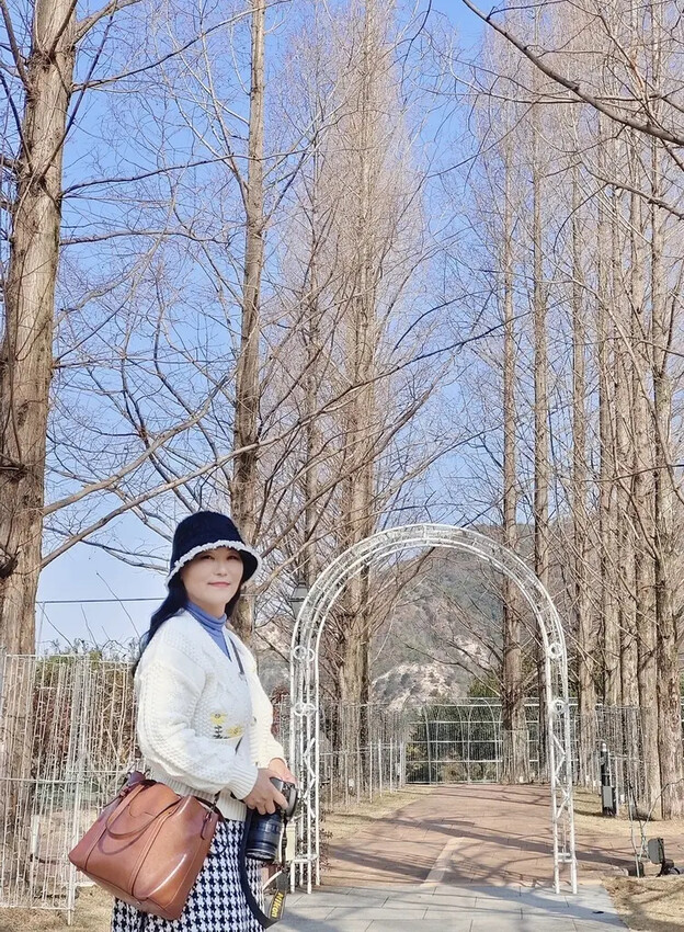 雄獅旅遊｜日本四國雙鐵道六天五夜行程推薦 伊予灘夕陽列車&千