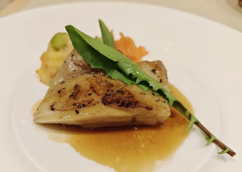 雄獅旅遊｜日本四國雙鐵道六天五夜行程推薦 伊予灘夕陽列車&千