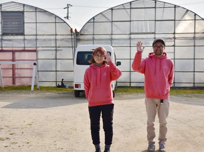 雄獅旅遊｜日本四國雙鐵道六天五夜行程推薦 伊予灘夕陽列車&千