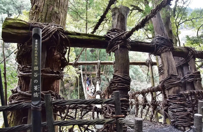 德島三好市|祖谷葛藤橋 隱藏於山谷之間的神秘境地 橫跨祖谷川發現德島祖谷的原始樣貌|西莉亞玩樂人生 雄獅旅遊|祖谷秘境葛藤橋