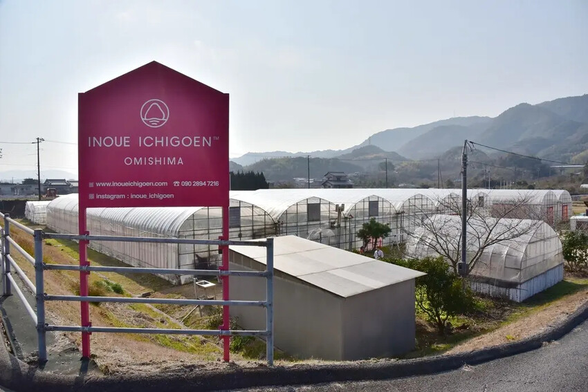 雄獅旅遊｜日本四國雙鐵道六天五夜行程推薦 伊予灘夕陽列車&千