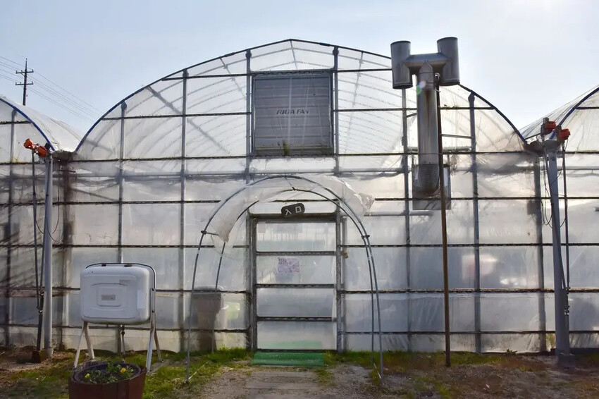 四國愛媛大三島｜INOUE ICHIGOEN草莓園 當季限定