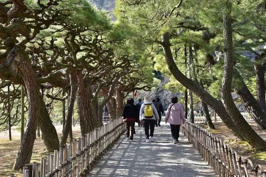 雄獅旅遊｜日本四國雙鐵道六天五夜行程推薦 伊予灘夕陽列車&千