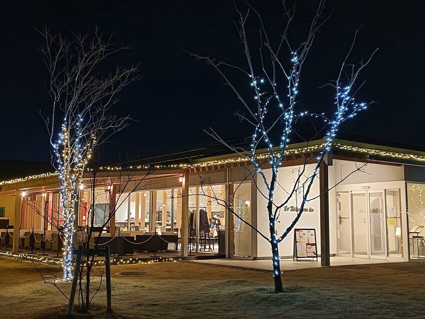 雄獅旅遊｜日本四國雙鐵道六天五夜行程推薦 伊予灘夕陽列車&千