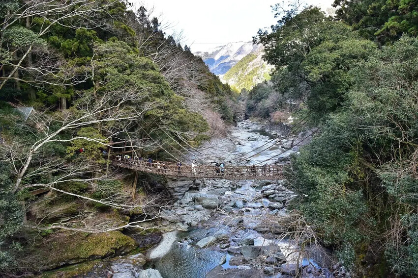 德島三好市|祖谷葛藤橋 隱藏於山谷之間的神秘境地 橫跨祖谷川發現德島祖谷的原始樣貌|西莉亞玩樂人生 雄獅旅遊|日本四國雙鐵道六天五夜行程推薦 伊予灘夕陽列車&千