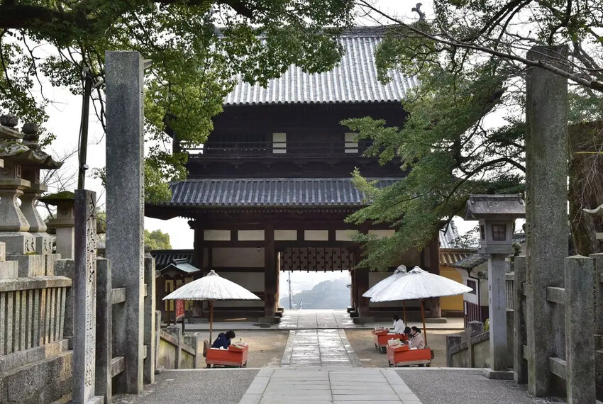 雄獅旅遊｜日本四國雙鐵道六天五夜行程推薦 伊予灘夕陽列車&千