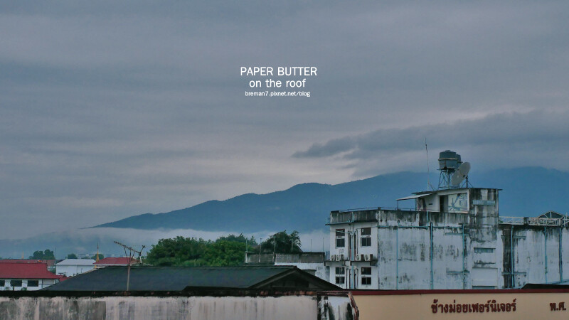 paperbutterontheroof-13