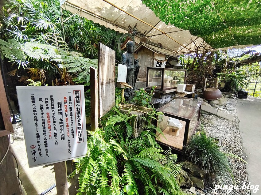 沖繩旅遊必訪神聖土地!「沖宮」琉球八社之一,求財運 祈福一次搞定。