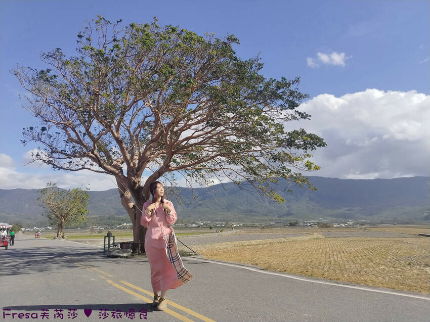 台東縣池上鄉台東景點【池上風情租車】池上火車站旁!俏亮造型四輪車超吸睛!