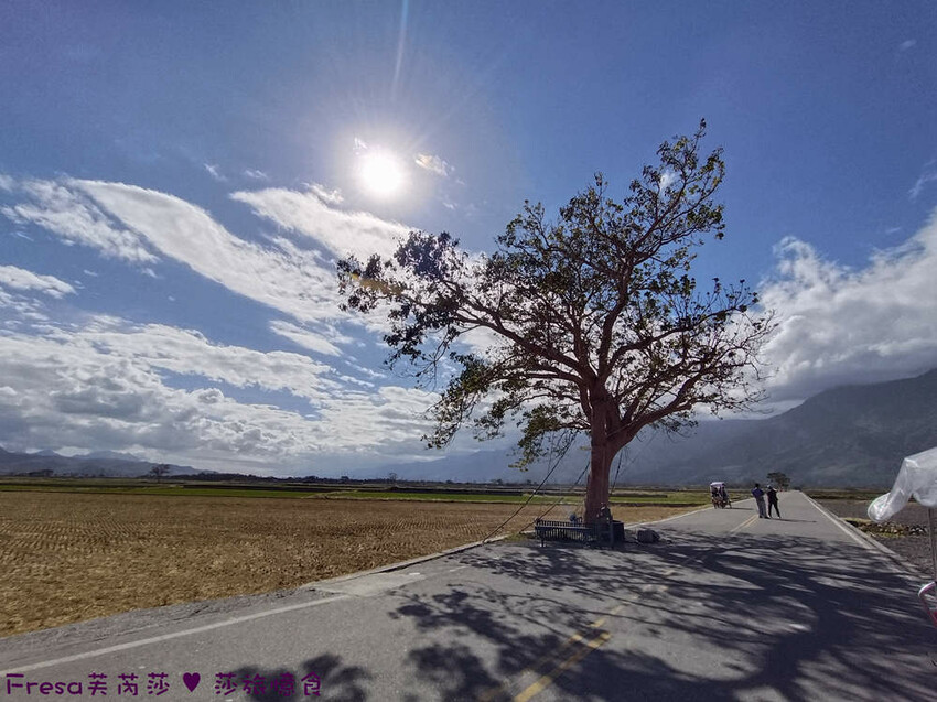 台東縣池上鄉台東景點【池上風情租車】池上火車站旁!俏亮造型四輪車超吸睛!