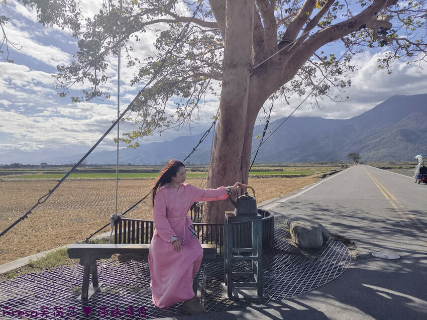 台東縣池上鄉台東景點【池上風情租車】池上火車站旁!俏亮造型四輪車超吸睛!