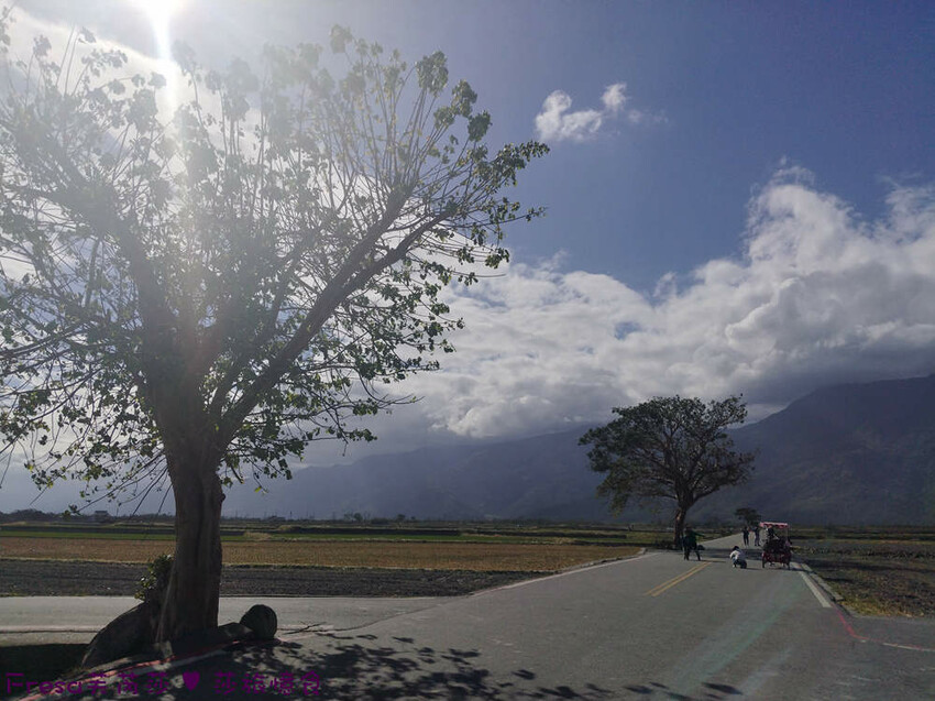 台東縣池上鄉台東景點【池上風情租車】池上火車站旁!俏亮造型四輪車超吸睛!