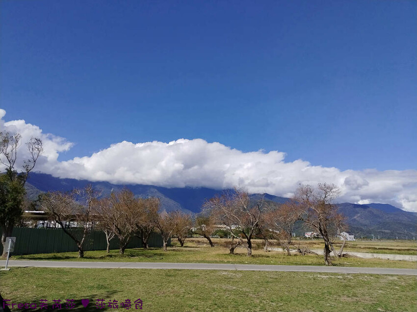 台東縣池上鄉台東景點【池上風情租車】池上火車站旁!俏亮造型四輪車超吸睛!