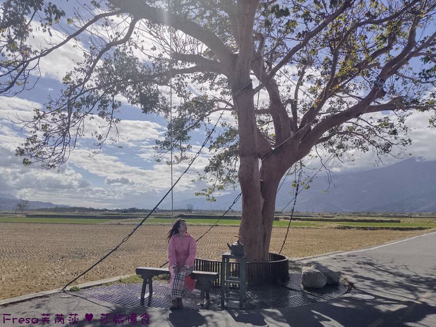 台東縣池上鄉台東景點【池上風情租車】池上火車站旁!俏亮造型四輪車超吸睛!