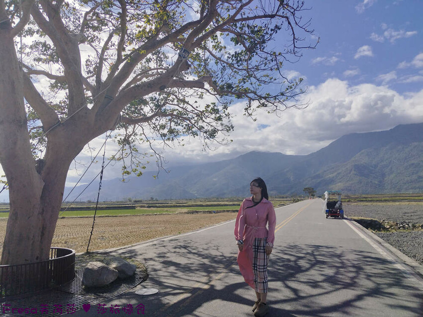 台東縣池上鄉台東景點【池上風情租車】池上火車站旁!俏亮造型四輪車超吸睛!