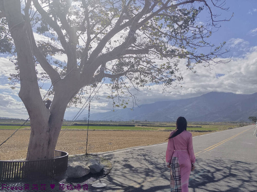 台東縣池上鄉台東景點【池上風情租車】池上火車站旁!俏亮造型四輪車超吸睛!