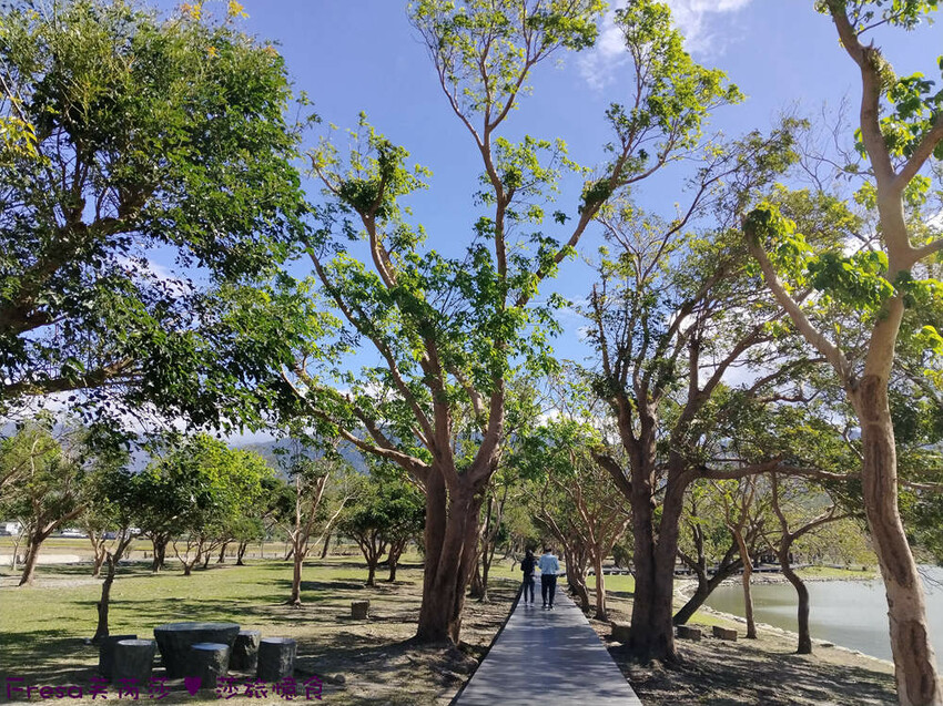台東縣池上鄉台東景點【池上風情租車】池上火車站旁!俏亮造型四輪車超吸睛!