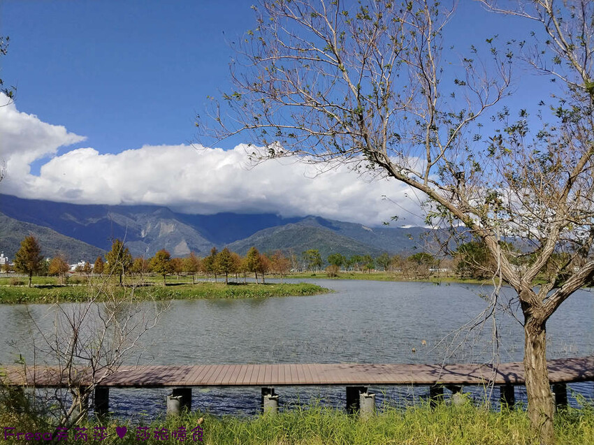 台東縣池上鄉台東景點【池上風情租車】池上火車站旁!俏亮造型四輪車超吸睛!