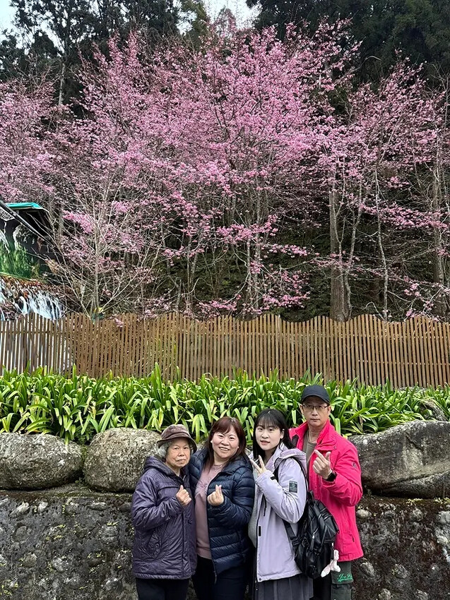 2025竹山紫南宮,來擲茭借發財金|2025鳳凰谷鳥園生態園 2025竹山紫南宮,來擲茭借發財金|2025鳳凰谷鳥園生態園