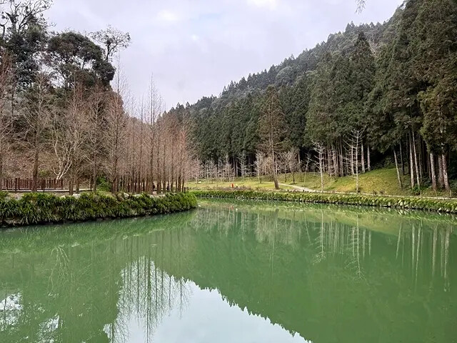 2025竹山紫南宮,來擲茭借發財金|2025鳳凰谷鳥園生態園 2025竹山紫南宮,來擲茭借發財金|2025鳳凰谷鳥園生態園