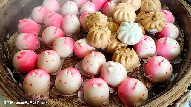 2025竹山紫南宮,來擲茭借發財金|2025鳳凰谷鳥園生態園 2025竹山紫南宮,來擲茭借發財金|2025鳳凰谷鳥園生態園