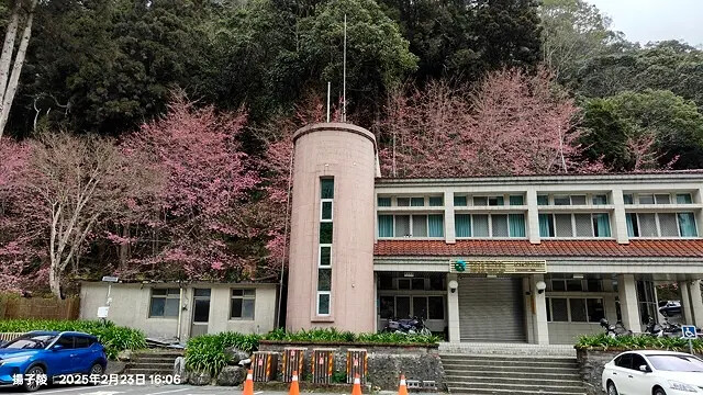 2025竹山紫南宮,來擲茭借發財金|2025鳳凰谷鳥園生態園 2025竹山紫南宮,來擲茭借發財金|2025鳳凰谷鳥園生態園