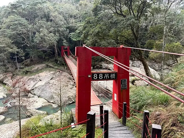 2025竹山紫南宮,來擲茭借發財金|2025鳳凰谷鳥園生態園 2025竹山紫南宮,來擲茭借發財金|2025鳳凰谷鳥園生態園