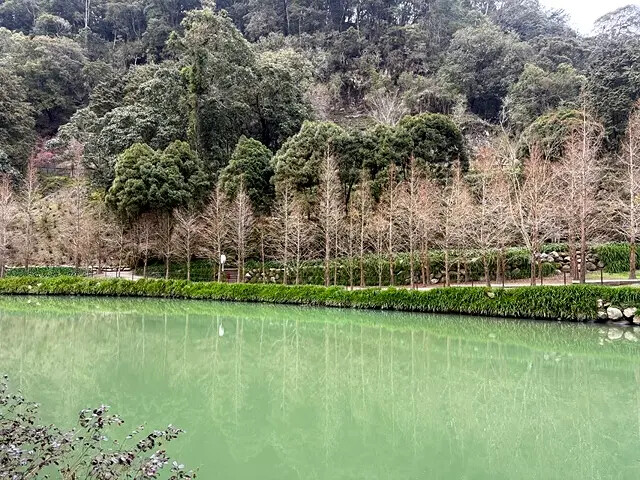 2025竹山紫南宮,來擲茭借發財金|2025鳳凰谷鳥園生態園 2025竹山紫南宮,來擲茭借發財金|2025鳳凰谷鳥園生態園