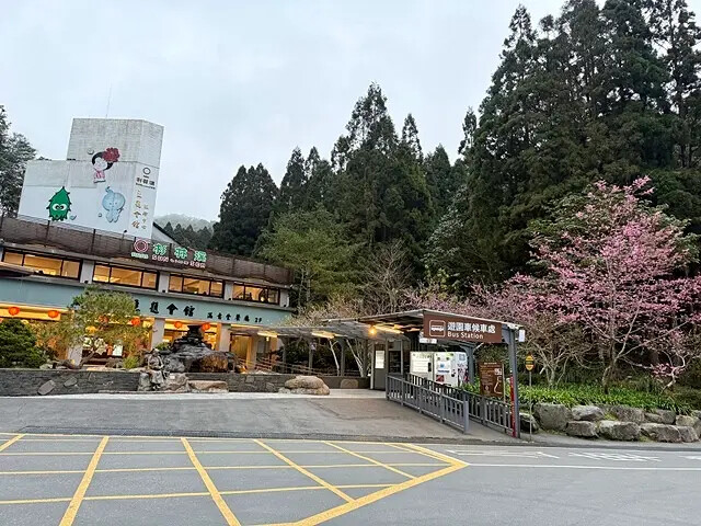 2025竹山紫南宮,來擲茭借發財金|2025鳳凰谷鳥園生態園 2025竹山紫南宮,來擲茭借發財金|2025鳳凰谷鳥園生態園