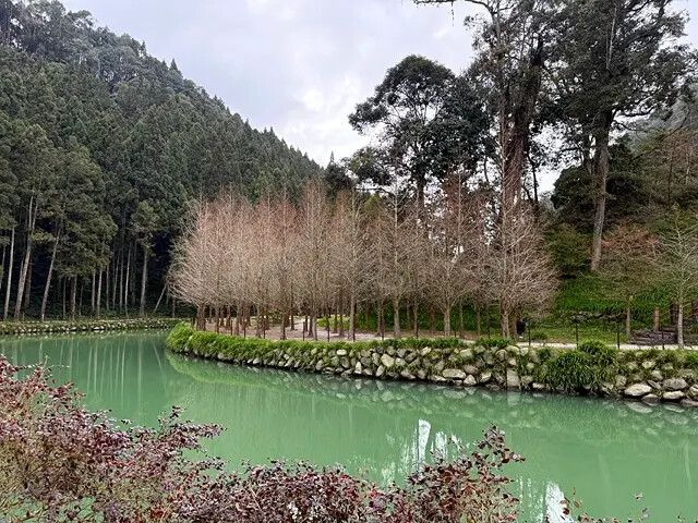 2025竹山紫南宮,來擲茭借發財金|2025鳳凰谷鳥園生態園 2025竹山紫南宮,來擲茭借發財金|2025鳳凰谷鳥園生態園