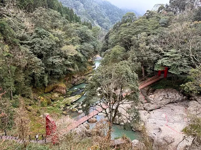 2025竹山紫南宮,來擲茭借發財金|2025鳳凰谷鳥園生態園 2025竹山紫南宮,來擲茭借發財金|2025鳳凰谷鳥園生態園