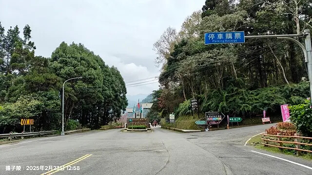 2025竹山紫南宮,來擲茭借發財金|2025鳳凰谷鳥園生態園 2025竹山紫南宮,來擲茭借發財金|2025鳳凰谷鳥園生態園