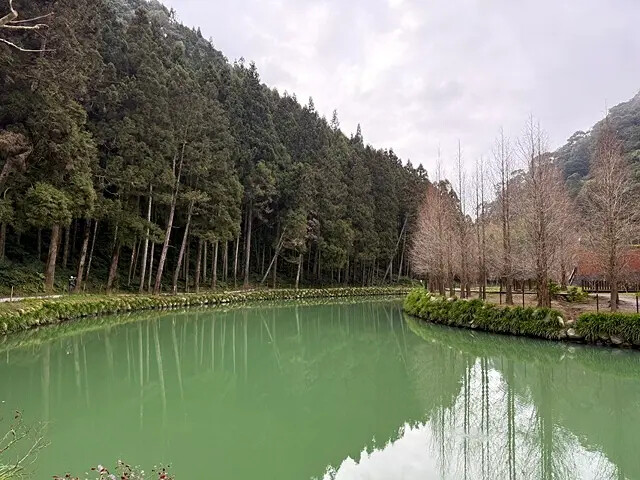 2025竹山紫南宮,來擲茭借發財金|2025鳳凰谷鳥園生態園 2025竹山紫南宮,來擲茭借發財金|2025鳳凰谷鳥園生態園