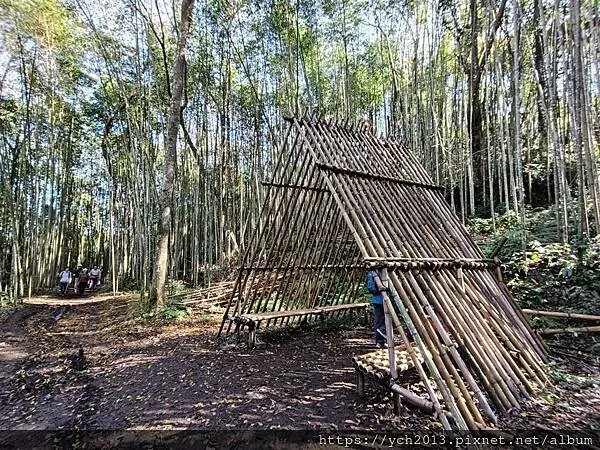 2025第一爬/新竹尖石養老段霞喀羅古道至白石吊橋巡楓趣 2025第一爬/新竹尖石養老段霞喀羅古道至白石吊橋巡楓趣