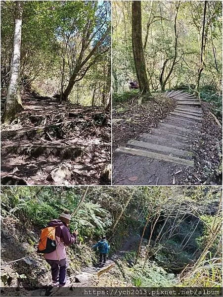 2025第一爬/新竹尖石養老段霞喀羅古道至白石吊橋巡楓趣 2025第一爬/新竹尖石養老段霞喀羅古道至白石吊橋巡楓趣