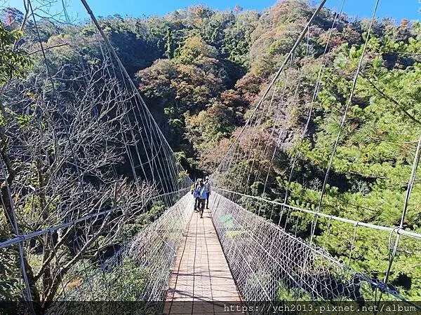 2025第一爬/新竹尖石養老段霞喀羅古道至白石吊橋巡楓趣 2025第一爬/新竹尖石養老段霞喀羅古道至白石吊橋巡楓趣