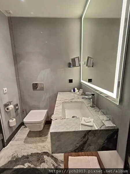 布拉索夫麗笙酒店Radisson Blu Hotel(羅馬尼